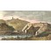 MONASTIR, Sardaigne, Italie, gravure ancienne, stich