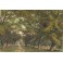 TRINIDAD : ST JAMES, PORT OF SPAIN, Amérique du Sud, gravure anc