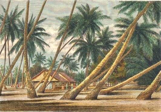 TUAMOTOU ISLANDS : Oceania, Polynesia, Tuamotu, engraving, print