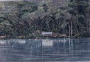 BORDS DE L'OGÔOUÉ - mission américaine, entre Njolé et Lambaréné, dans le pays des Ba-Kalé