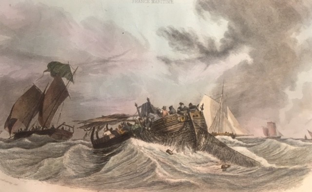 PÊCHE AUX HARENGS PÊCHE AUX HARENGS