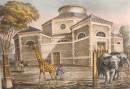 JARDIN DES PLANTES : ROTONDE DE LA GIRAFE ET DES ÉLÉPHANTS