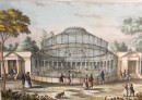 JARDIN DES PLANTES : GRAND PAVILLON DES SINGES