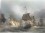 COMBAT NAVAL D'OUESSANT (27 Juillet 1778)
