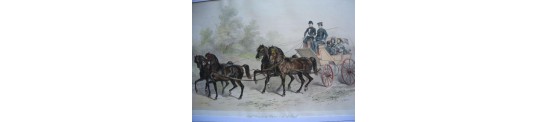 CHEVAUX